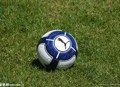 标题改写,萨内誓言闪,耀舞台,AG真人,AG真人官网,AG真人平台