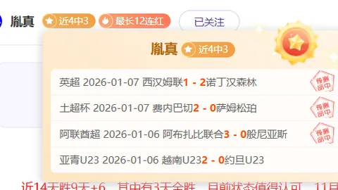 《焦点对决：灰熊激战太阳，NBA精彩对决解析揭秘》